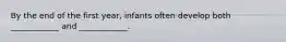 By the end of the first year, infants often develop both ____________ and ____________.