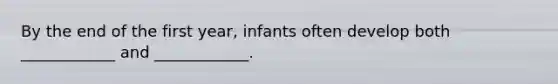 By the end of the first year, infants often develop both ____________ and ____________.