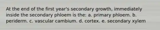 At the end of the first year's secondary growth, immediately inside the secondary phloem is the: a. primary phloem. b. periderm. c. vascular cambium. d. cortex. e. secondary xylem