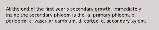 At the end of the first year's secondary growth, immediately inside the secondary phloem is the: a. primary phloem. b. periderm. c. vascular cambium. d. cortex. e. secondary xylem.