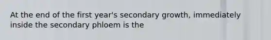 At the end of the first year's secondary growth, immediately inside the secondary phloem is the