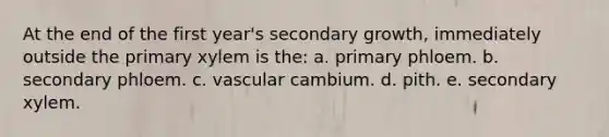 At the end of the first year's secondary growth, immediately outside the primary xylem is the: a. primary phloem. b. secondary phloem. c. vascular cambium. d. pith. e. secondary xylem.