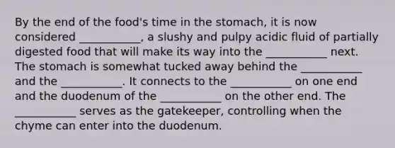 By the end of the food's time in the stomach, it is now considered ___________, a slushy and pulpy acidic fluid of partially digested food that will make its way into the ___________ next. The stomach is somewhat tucked away behind the ___________ and the ___________. It connects to the ___________ on one end and the duodenum of the ___________ on the other end. The ___________ serves as the gatekeeper, controlling when the chyme can enter into the duodenum.