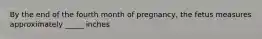 By the end of the fourth month of pregnancy, the fetus measures approximately _____ inches