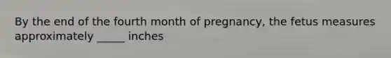 By the end of the fourth month of pregnancy, the fetus measures approximately _____ inches