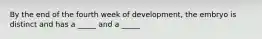 By the end of the fourth week of development, the embryo is distinct and has a _____ and a _____