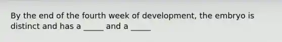 By the end of the fourth week of development, the embryo is distinct and has a _____ and a _____