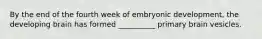 By the end of the fourth week of embryonic development, the developing brain has formed __________ primary brain vesicles.