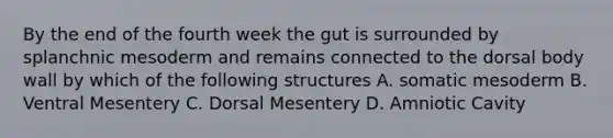 By the end of the fourth week the gut is surrounded by splanchnic mesoderm and remains connected to the dorsal body wall by which of the following structures A. somatic mesoderm B. Ventral Mesentery C. Dorsal Mesentery D. Amniotic Cavity