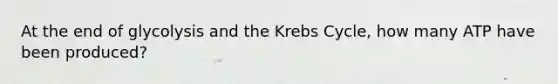 At the end of glycolysis and the Krebs Cycle, how many ATP have been produced?