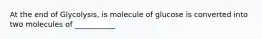 At the end of Glycolysis, is molecule of glucose is converted into two molecules of ___________