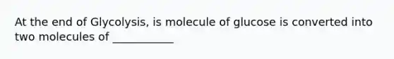 At the end of Glycolysis, is molecule of glucose is converted into two molecules of ___________