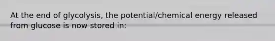 At the end of glycolysis, the potential/chemical energy released from glucose is now stored in: