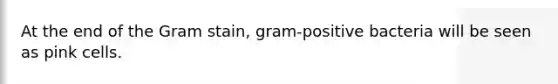 At the end of the Gram stain, gram-positive bacteria will be seen as pink cells.