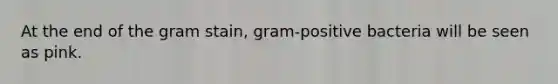 At the end of the gram stain, gram-positive bacteria will be seen as pink.