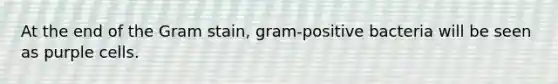 At the end of the Gram stain, gram-positive bacteria will be seen as purple cells.