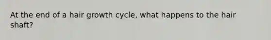 At the end of a hair growth cycle, what happens to the hair shaft?