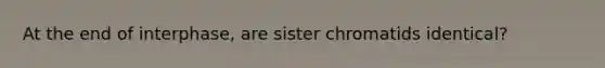 At the end of interphase, are sister chromatids identical?