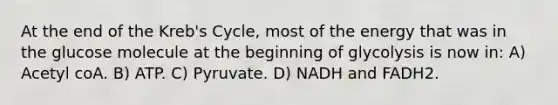 At the end of the Kreb's Cycle, most of the energy that was in the glucose molecule at the beginning of glycolysis is now in: A) Acetyl coA. B) ATP. C) Pyruvate. D) NADH and FADH2.