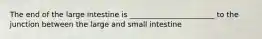 The end of the large intestine is _______________________ to the junction between the large and small intestine