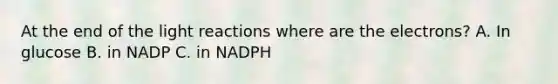 At the end of the light reactions where are the electrons? A. In glucose B. in NADP C. in NADPH