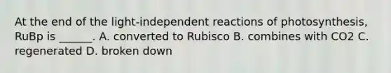 At the end of the light-independent reactions of photosynthesis, RuBp is ______. A. converted to Rubisco B. combines with CO2 C. regenerated D. broken down