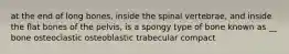 at the end of long bones, inside the spinal vertebrae, and inside the flat bones of the pelvis, is a spongy type of bone known as __ bone osteoclastic osteoblastic trabecular compact