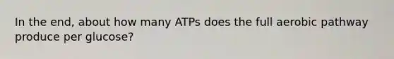 In the end, about how many ATPs does the full aerobic pathway produce per glucose?