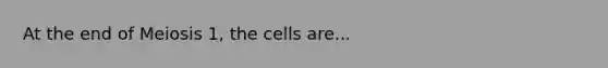 At the end of Meiosis 1, the cells are...