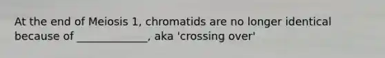 At the end of Meiosis 1, chromatids are no longer identical because of _____________, aka 'crossing over'