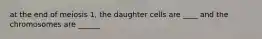 at the end of meiosis 1, the daughter cells are ____ and the chromosomes are ______