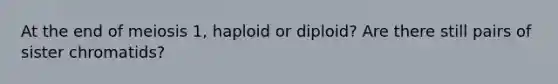 At the end of meiosis 1, haploid or diploid? Are there still pairs of sister chromatids?