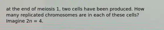 at the end of meiosis 1, two cells have been produced. How many replicated chromosomes are in each of these cells? Imagine 2n = 4.