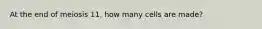 At the end of meiosis 11, how many cells are made?