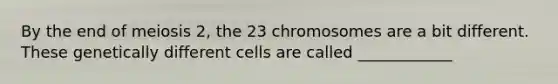 By the end of meiosis 2, the 23 chromosomes are a bit different. These genetically different cells are called ____________