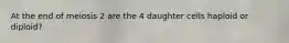 At the end of meiosis 2 are the 4 daughter cells haploid or diploid?