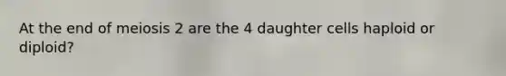 At the end of meiosis 2 are the 4 daughter cells haploid or diploid?