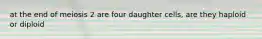 at the end of meiosis 2 are four daughter cells, are they haploid or diploid