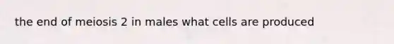 the end of meiosis 2 in males what cells are produced