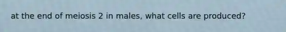 at the end of meiosis 2 in males, what cells are produced?