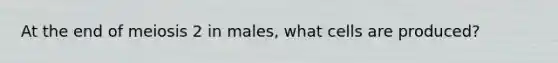 At the end of meiosis 2 in males, what cells are produced?