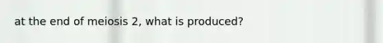 at the end of meiosis 2, what is produced?