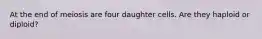 At the end of meiosis are four daughter cells. Are they haploid or diploid?