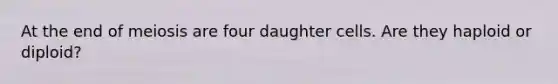 At the end of meiosis are four daughter cells. Are they haploid or diploid?