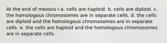 At the end of meiosis I a. cells are haploid. b. cells are diploid. c. the homologous chromosomes are in separate cells. d. the cells are diploid and the homologous chromosomes are in separate cells. e. the cells are haploid and the homologous chromosomes are in separate cells.