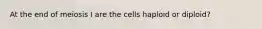 At the end of meiosis I are the cells haploid or diploid?