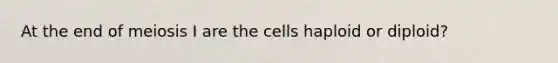 At the end of meiosis I are the cells haploid or diploid?