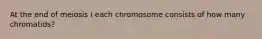 At the end of meiosis I each chromosome consists of how many chromatids?