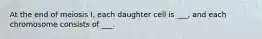 At the end of meiosis I, each daughter cell is ___, and each chromosome consists of ___.