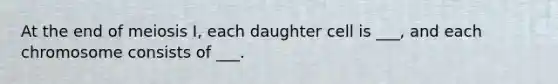 At the end of meiosis I, each daughter cell is ___, and each chromosome consists of ___.